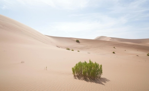 Extreme Climate Conditions in the Middle East